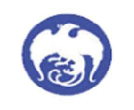 Audit firm